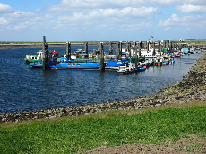 2013-05-09 11-44-50 Mary.JPG